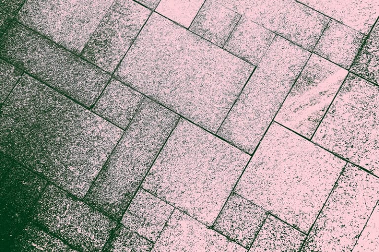 Get Rid of Black Mold on Brick Pavers Rock Solid Pavers